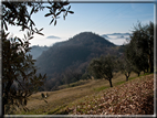 foto Colline Marosticane nella Nebbia